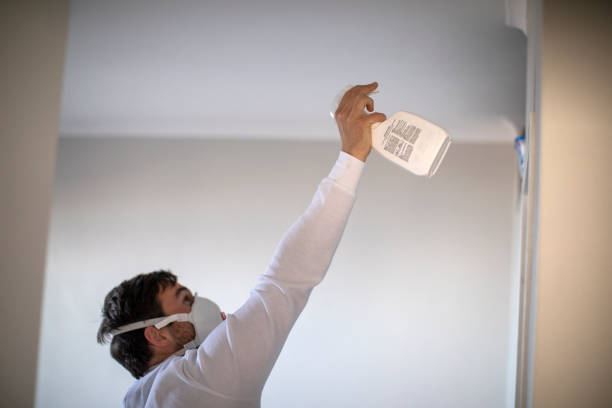 Best Mold Testing  in Lancaster, TX