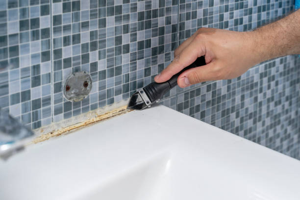 Best Best Mold Removal Companies  in Lancaster, TX