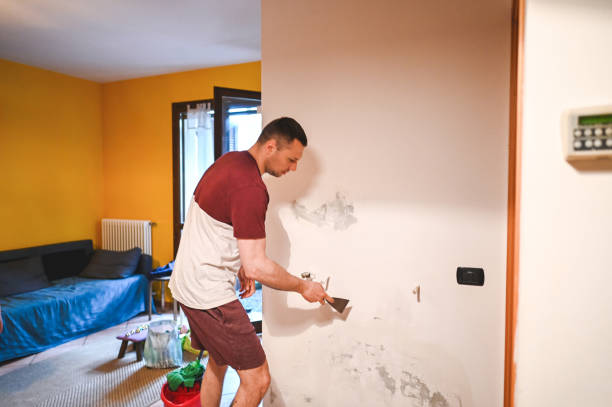 Best Office Mold Removal Services  in Lancaster, TX
